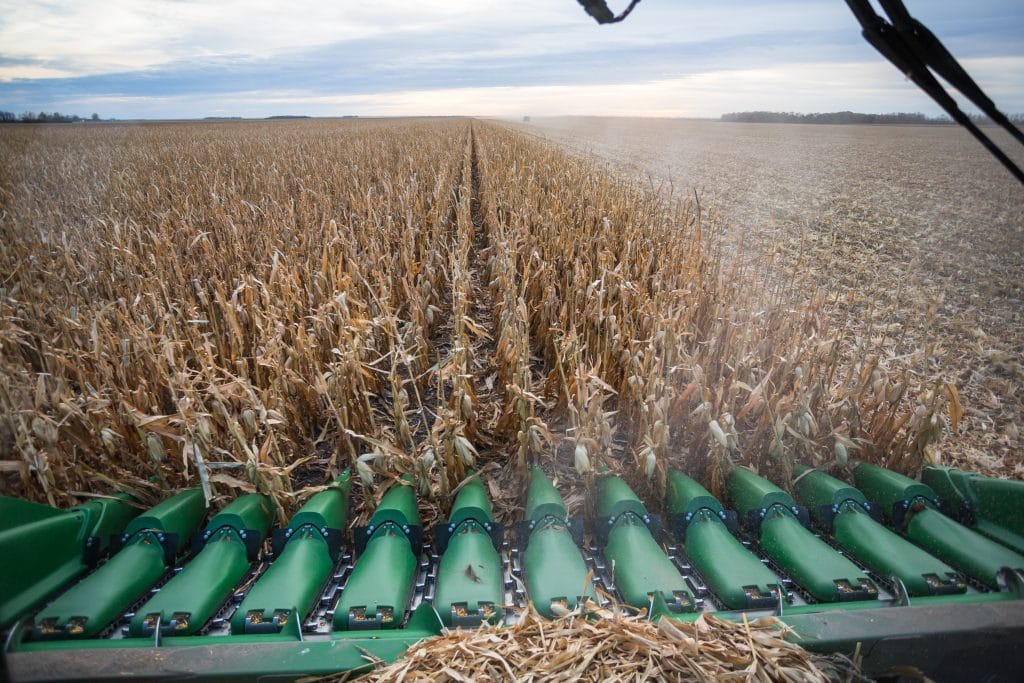 20161015_pfs-corn-harvest_0015