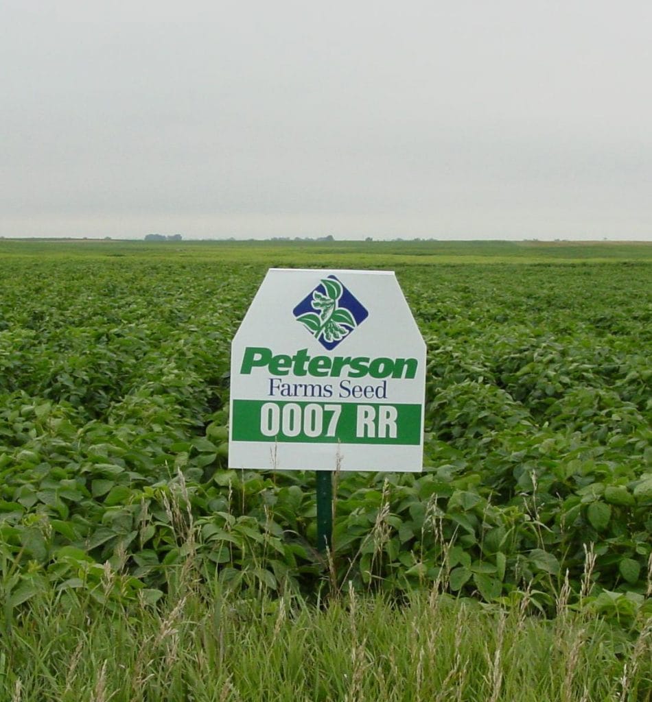 Before RR2Y was an introduced, one of the first RR varieties available in 2000 from Peterson Farms Seed.