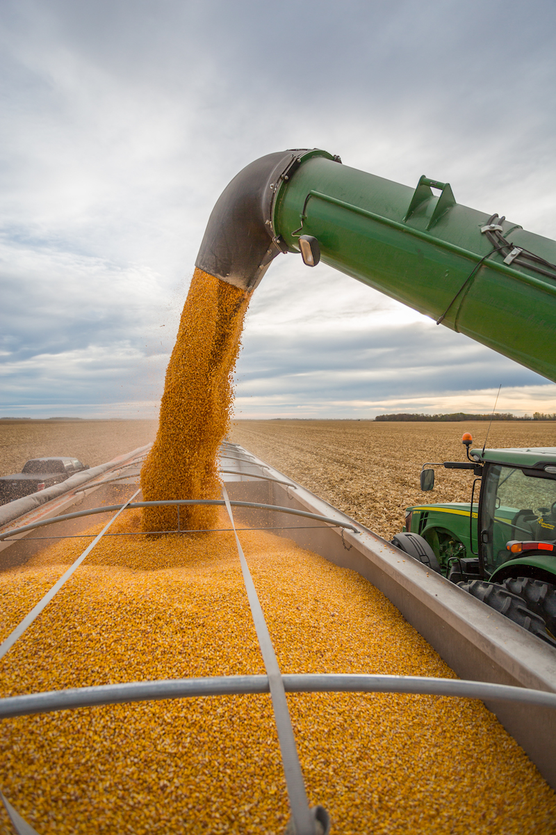 Preparation is Key to a Successful Corn Harvest - Peterson Farms Seed
