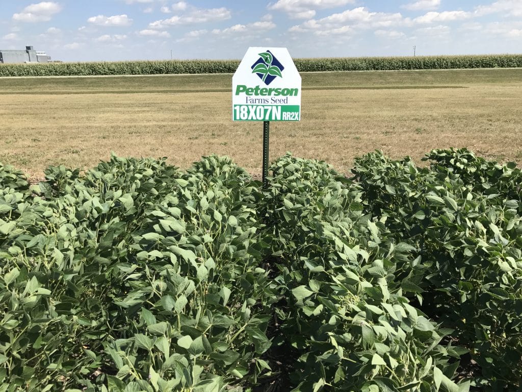 18X07N has proven to do very well on tough IDC soils.