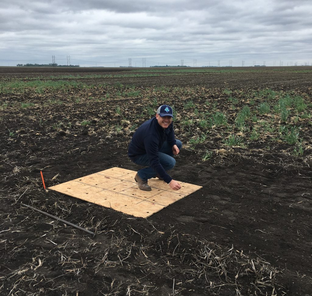 Planting the 400 bushel corn plot