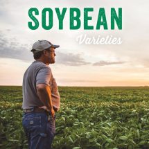 Soybean Varieties Soybean Varieties