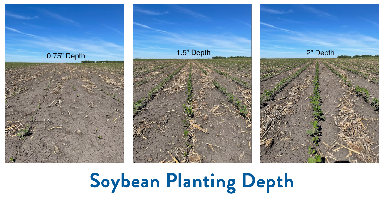 Different soybean planting depth during drought and freeze